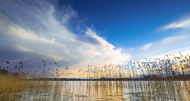location-vacances-grau-du-roi-etangs-roseau location-vacances-grau-du-roi-etangs-roseau
